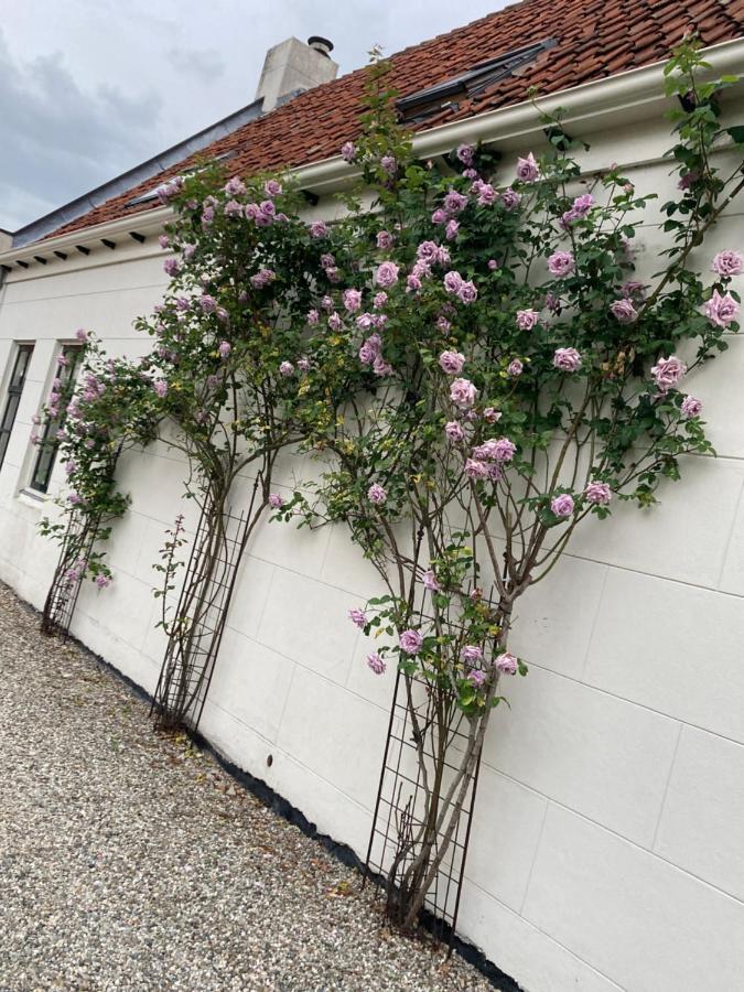 Bij Ons Achter Apartman Biggekerke Kültér fotó